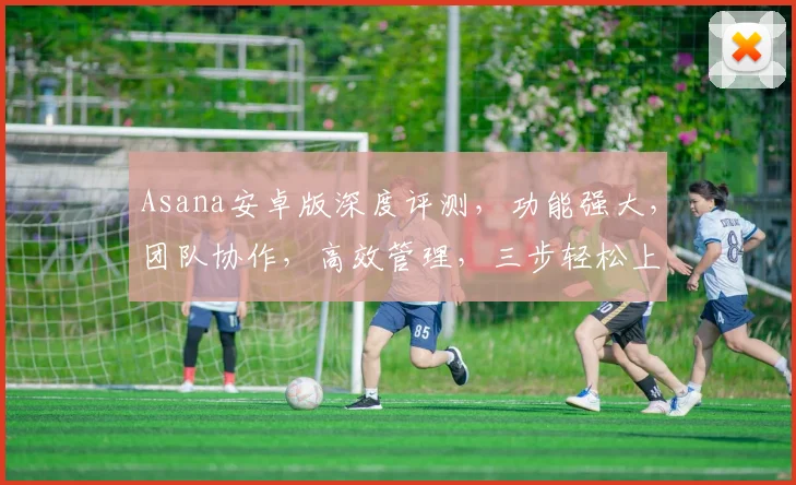 Asana安卓版深度评测，功能强大，团队协作，高效管理，三步轻松上手，体验工作新境界