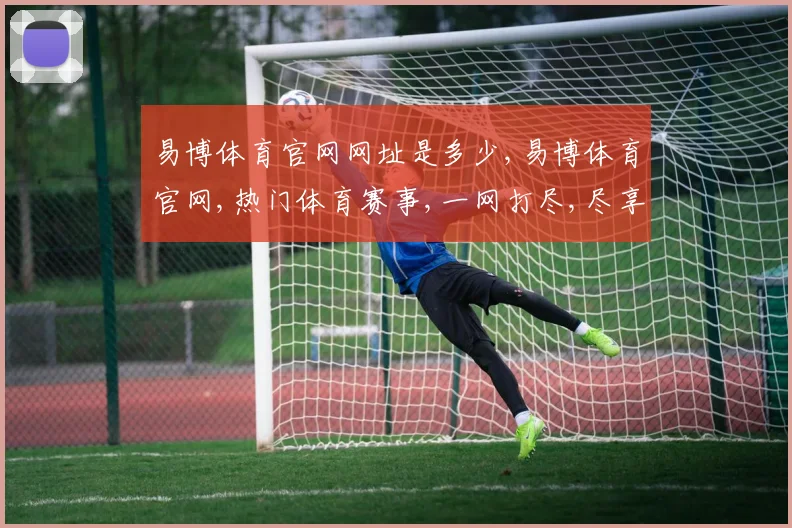 易博体育官网网址是多少,易博体育官网,热门体育赛事,一网打尽,尽享精彩逗