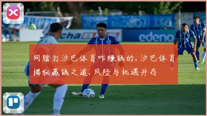 网赌打沙巴体育咋赚钱的,沙巴体育揭秘赢钱之道,风险与机遇并存