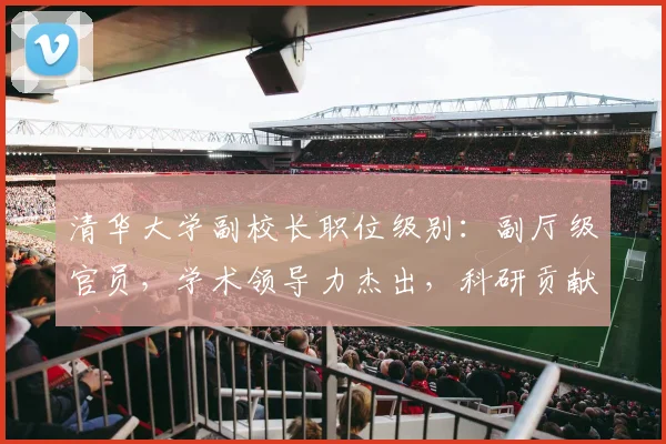 清华大学副校长职位级别：副厅级官员，学术领导力杰出，科研贡献卓越，教育创新先行者