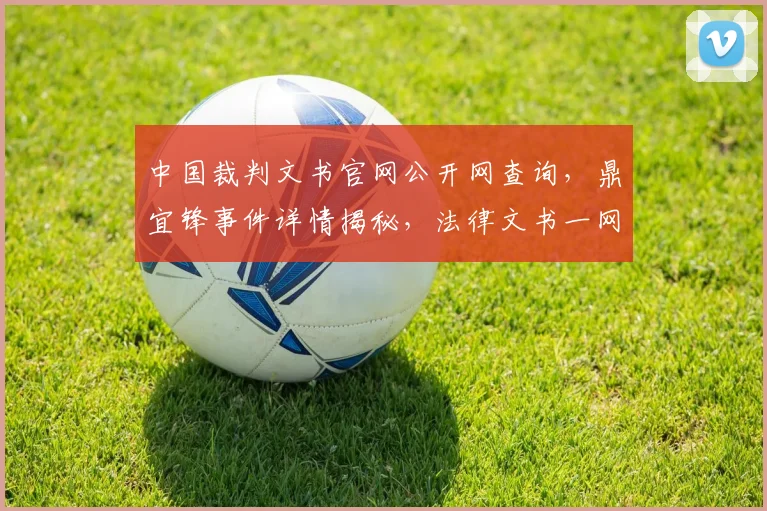 中国裁判文书官网公开网查询，鼎宜锋事件详情揭秘，法律文书一网打尽，三步轻松查看