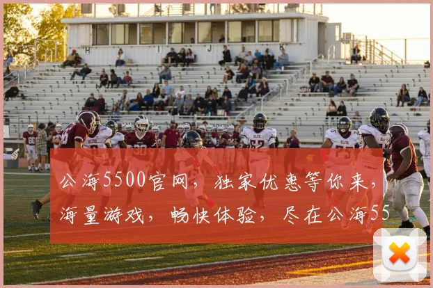公海5500官网，独家优惠等你来，海量游戏，畅快体验，尽在公海5500官网，不容错过